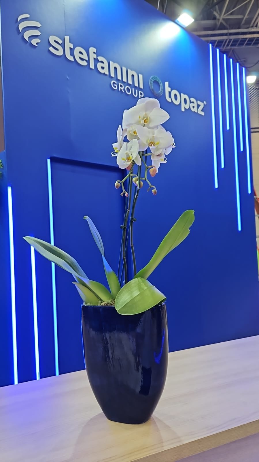2024 06 stand showy stefanini febrabantech transamerica 41p